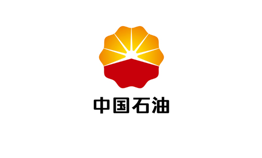 石油項目案例：中國石油